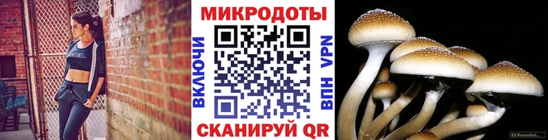 blacksprut как зайти Харабали Псилоцибиновые грибы ЛСД